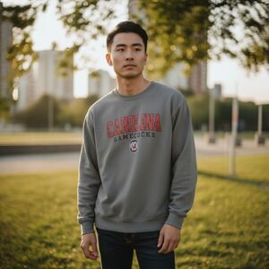 Men's Champion  Heather Gray South Carolina Gamecocks Logo Pullover Size Large